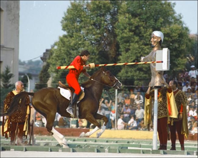 cavaliere_giostrante[1].jpg